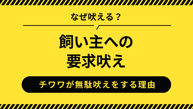 チワワの飼い主への要求吠え