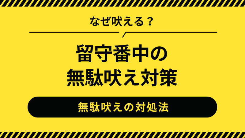 チワワの留守番中の無駄吠え対策