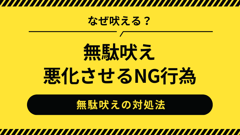 チワワの無駄吠えを悪化させるNG行為