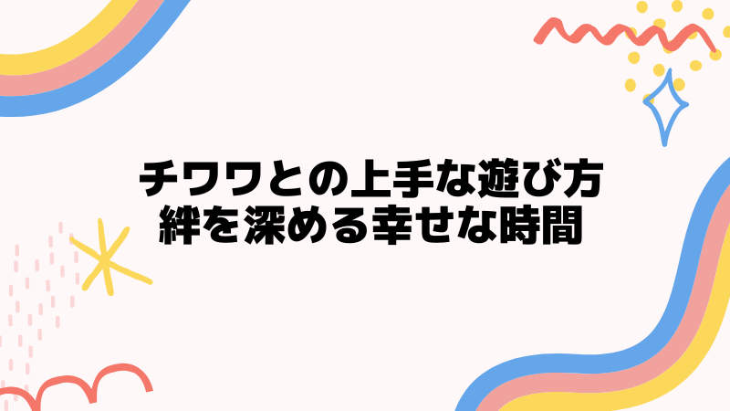 チワワとの上手な遊び方と絆を深める幸せな時間