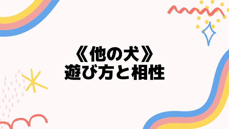 他の犬との遊び方と相性