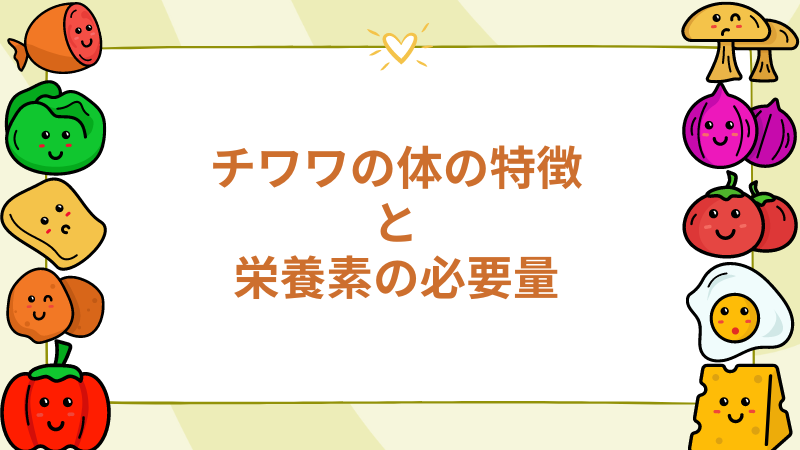 チワワの体の特徴と栄養素の必要量