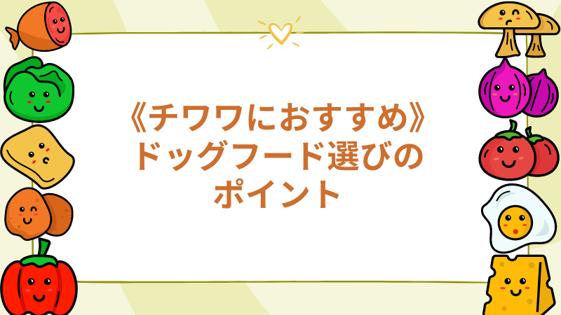 チワワにおすすめのドッグフード選びのポイント