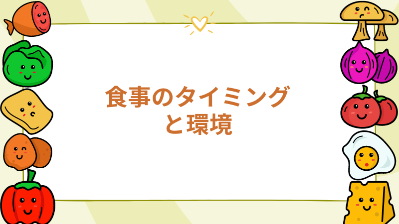 チワワの食事のタイミングと環境