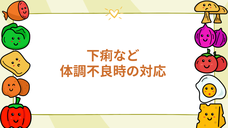 チワワの下痢など体調不良時の対応