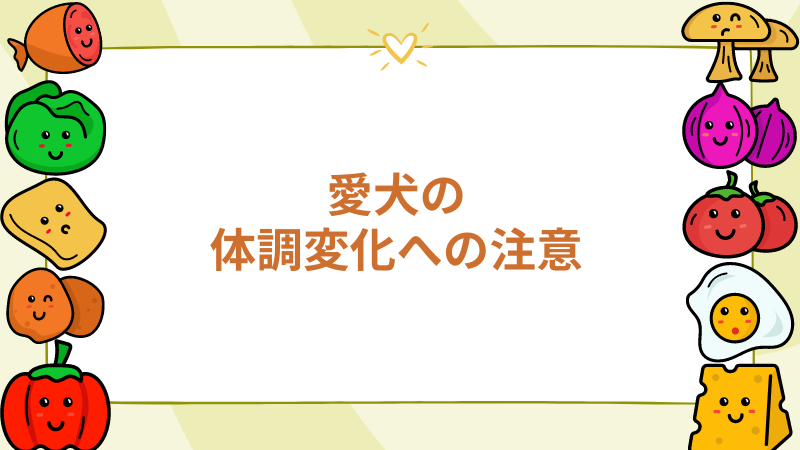 チワワの体調変化への注意