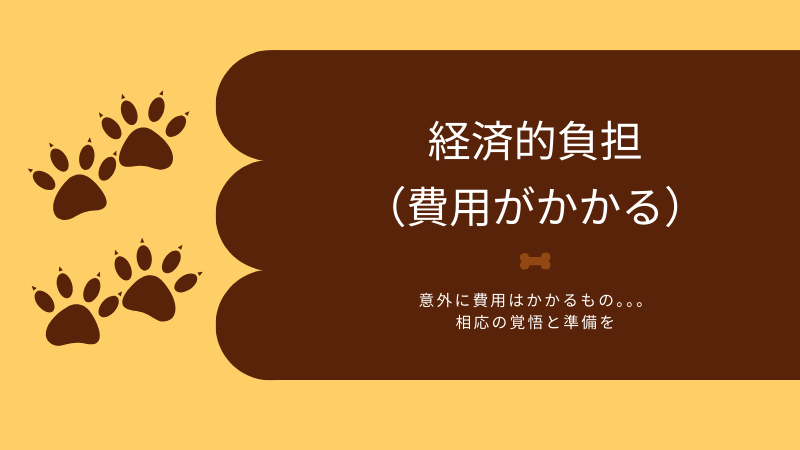 経済的負担（費用がかかる）