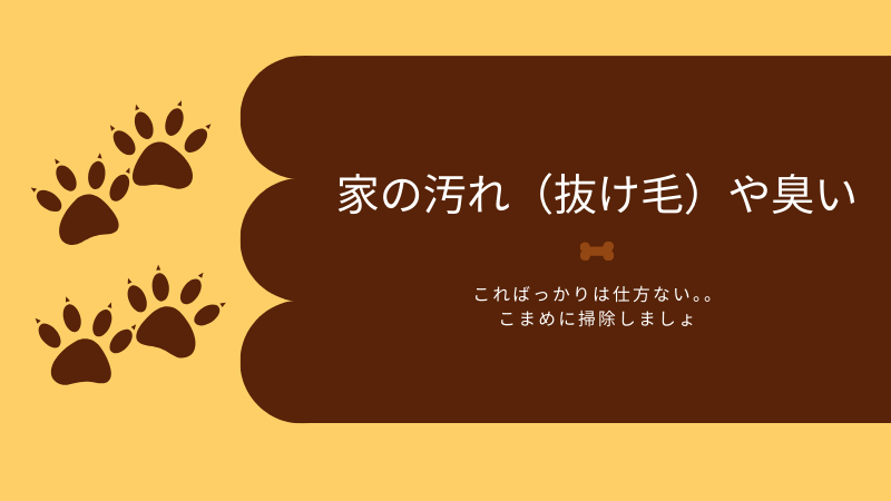 家の汚れ（抜け毛）や臭い