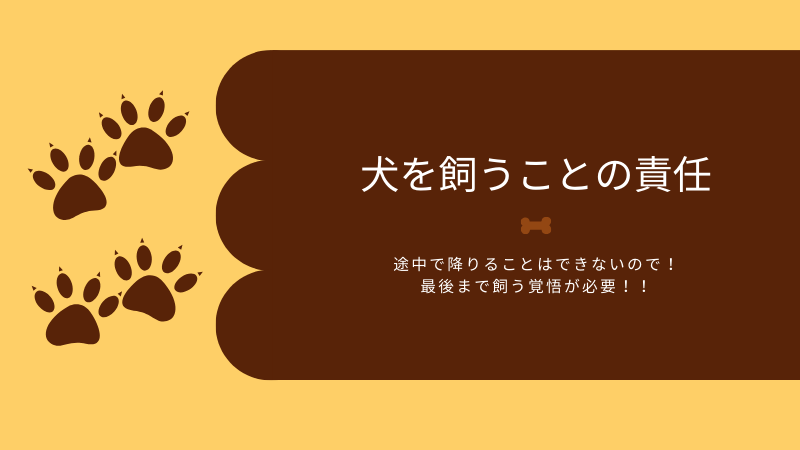 犬を飼うことの責任